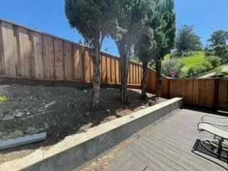 Reliable yard cleanup service in Oakland, CA by Naive Gardens