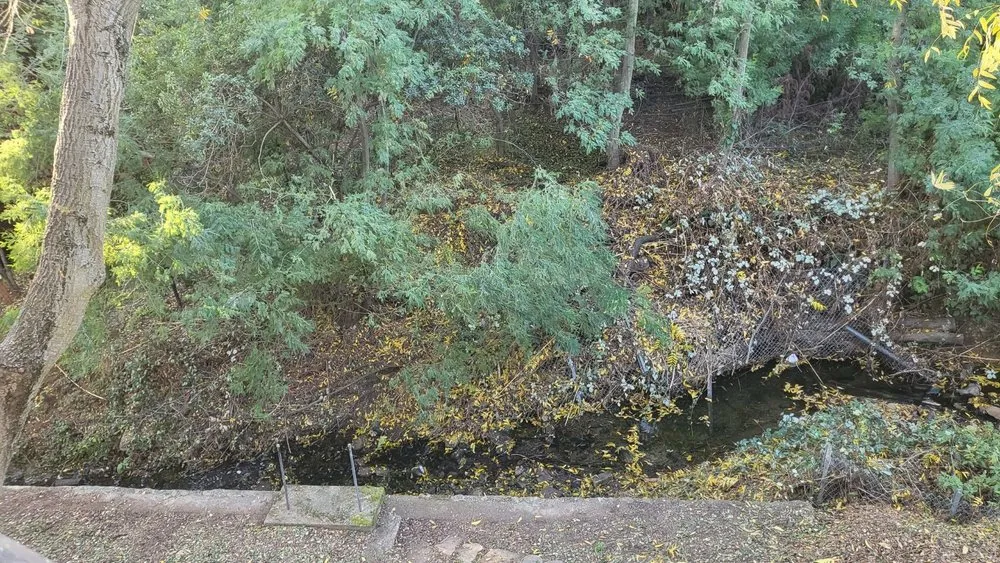 Trusted residential landscaping for homes across Oakland, CA - Naive Gardens