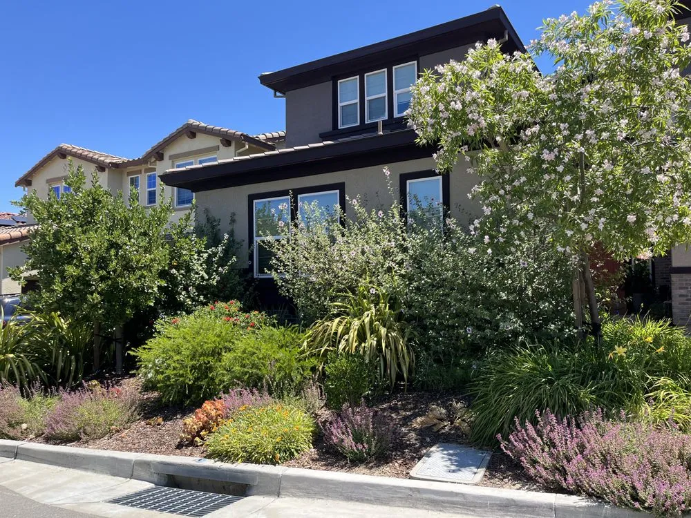 Professional landscaping services experts serving Oakland, CA - Naive Gardens