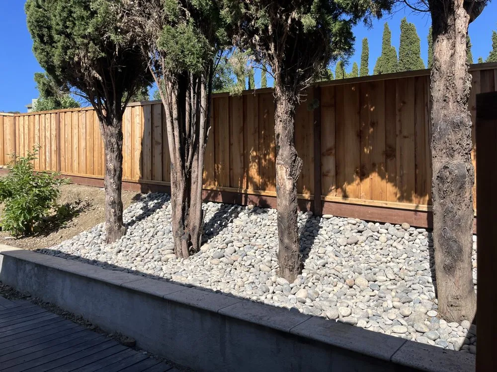 Reliable landscape installation in Oakland, CA - Naive Gardens