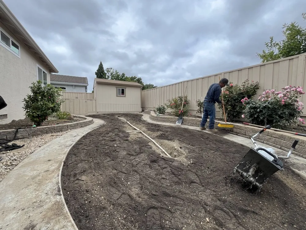 Expert garden landscaping for outdoor upgrades across Oakland, CA - Naive Gardens