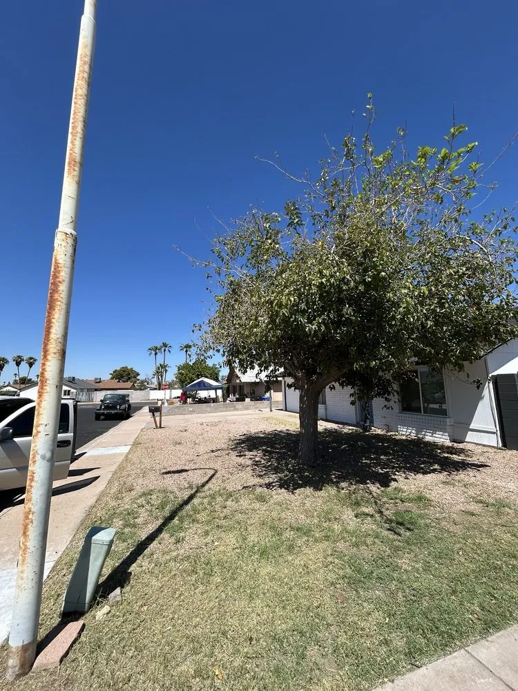 Top-rated yard maintenance for outdoor upgrades in Phoenix, AZ by Najera Landscaping Services Residential & Commerical