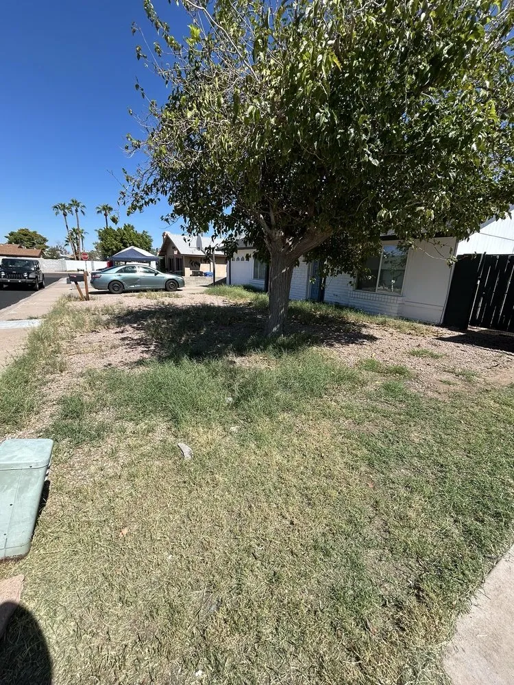 Top-rated landscaping services experts serving Phoenix, AZ - Najera Landscaping Services Residential & Commerical