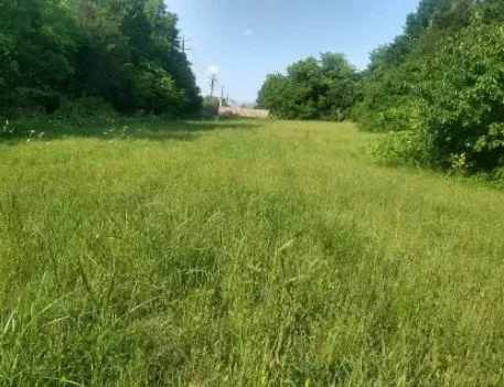 Expert lawn mowing service experts serving Mesquite, TX - Najera Lawn Service