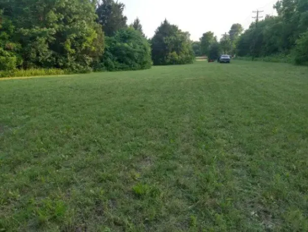 Local landscape installation for year-round maintenance across Mesquite, TX - Najera Lawn Service