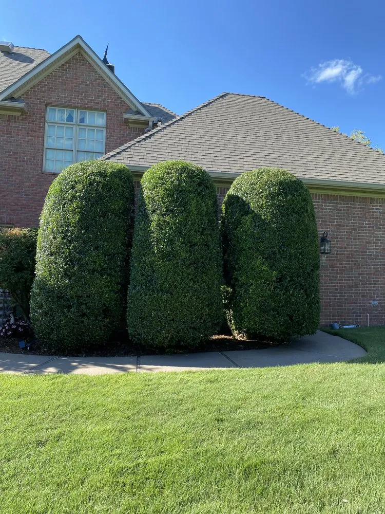 Custom garden landscaping near you in Boston, MA by Najera’s Landscaping