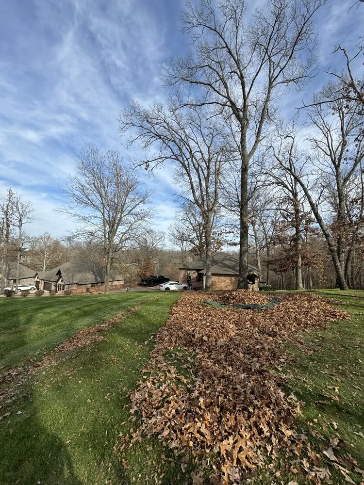 Professional lawn care service experts serving Boston, MA - Najera’s Landscaping