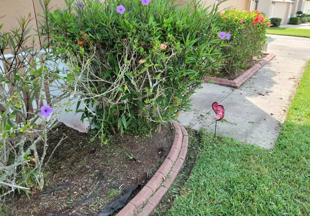 Professional yard cleanup service in Kissimmee, FL - Nales Lawn Care