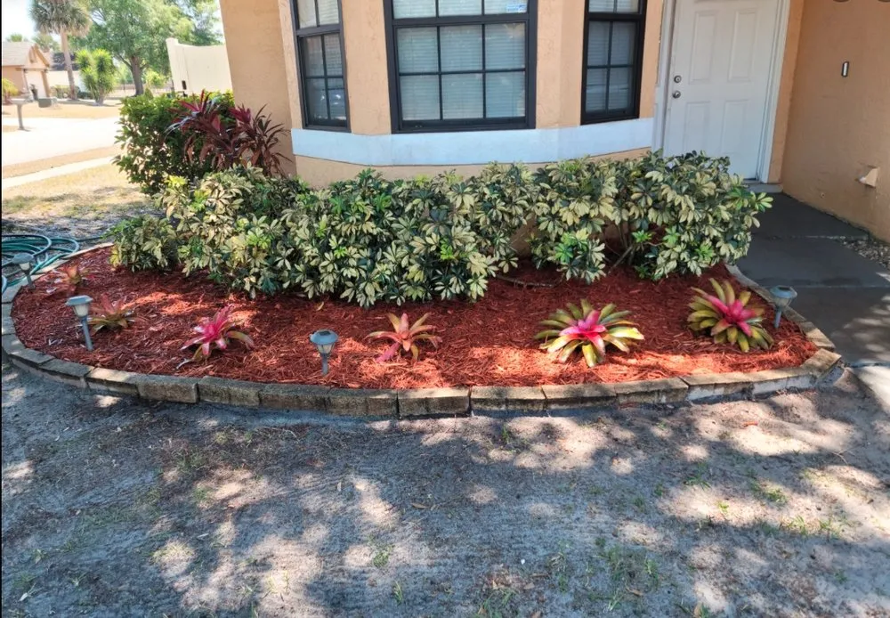 Reliable yard cleanup service for residential properties across Kissimmee, FL - Nales Lawn Care