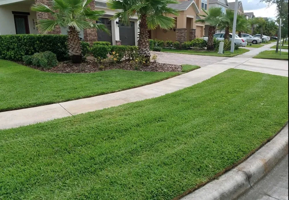 Custom landscape installation in Kissimmee, FL by Nales Lawn Care