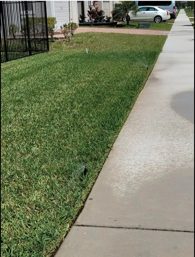 Top-rated yard maintenance in Kissimmee, FL - Nales Lawn Care