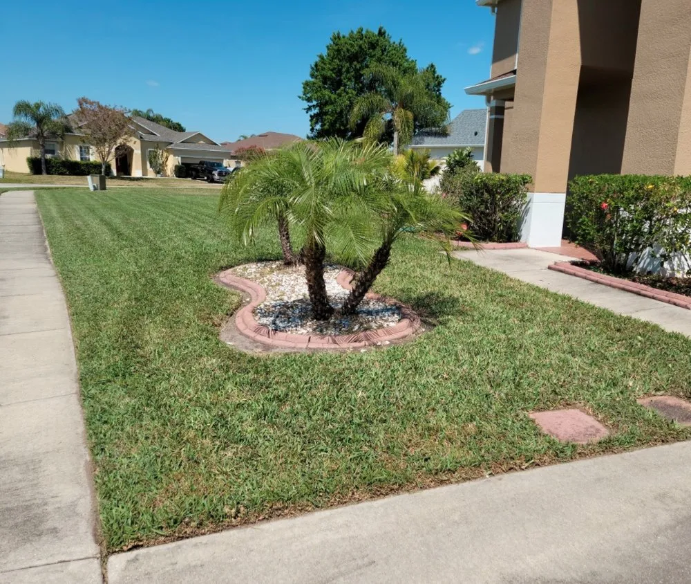 Trusted lawn care service in Kissimmee, FL - Nales Lawn Care