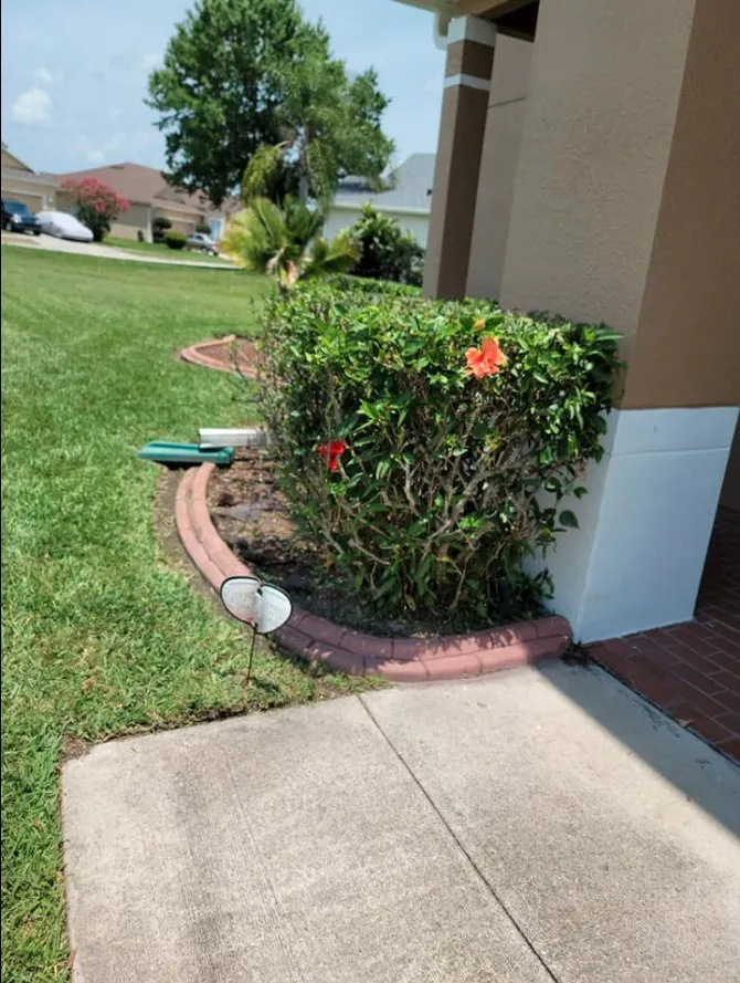 Local lawn care service in Kissimmee, FL - Nales Lawn Care