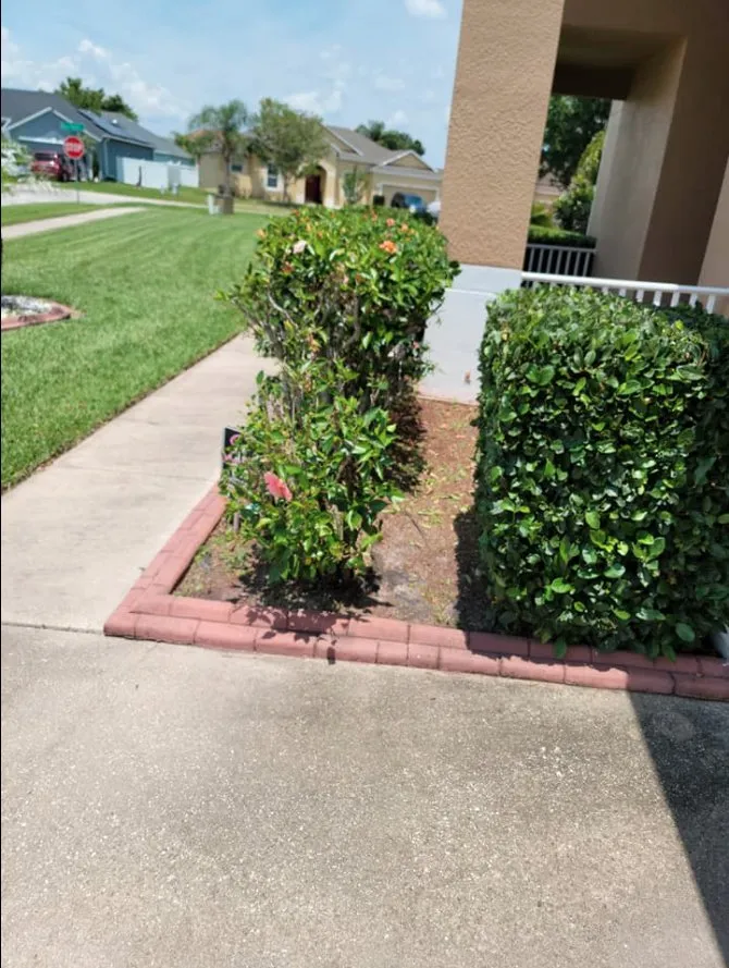 Custom lawn mowing service in Kissimmee, FL - Nales Lawn Care