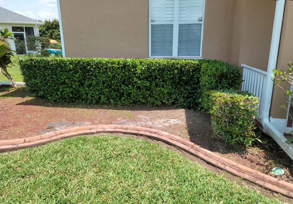 Reliable landscape design in Kissimmee, FL by Nales Lawn Care