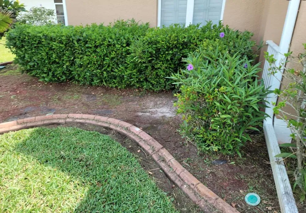 Local yard cleanup service with custom design in Kissimmee, FL by Nales Lawn Care