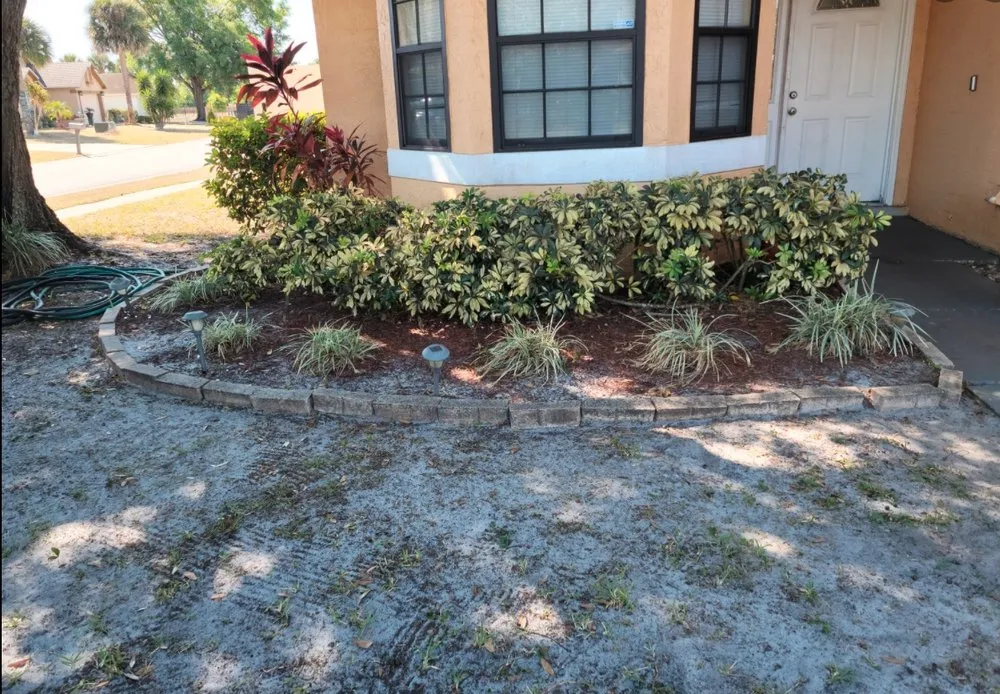 Professional yard cleanup service in Kissimmee, FL by Nales Lawn Care
