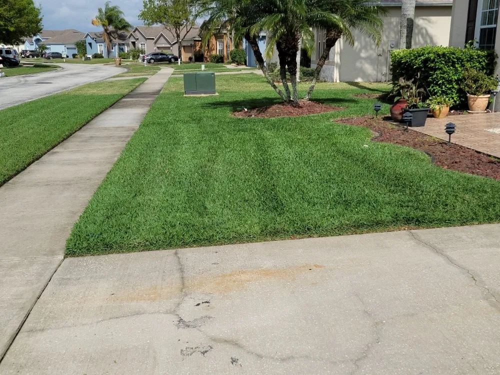 Reliable yard maintenance experts serving Kissimmee, FL - Nales Lawn Care