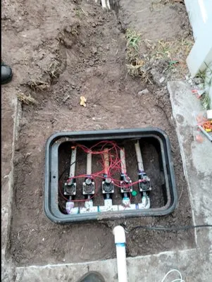 Nales Lawn Care Logo