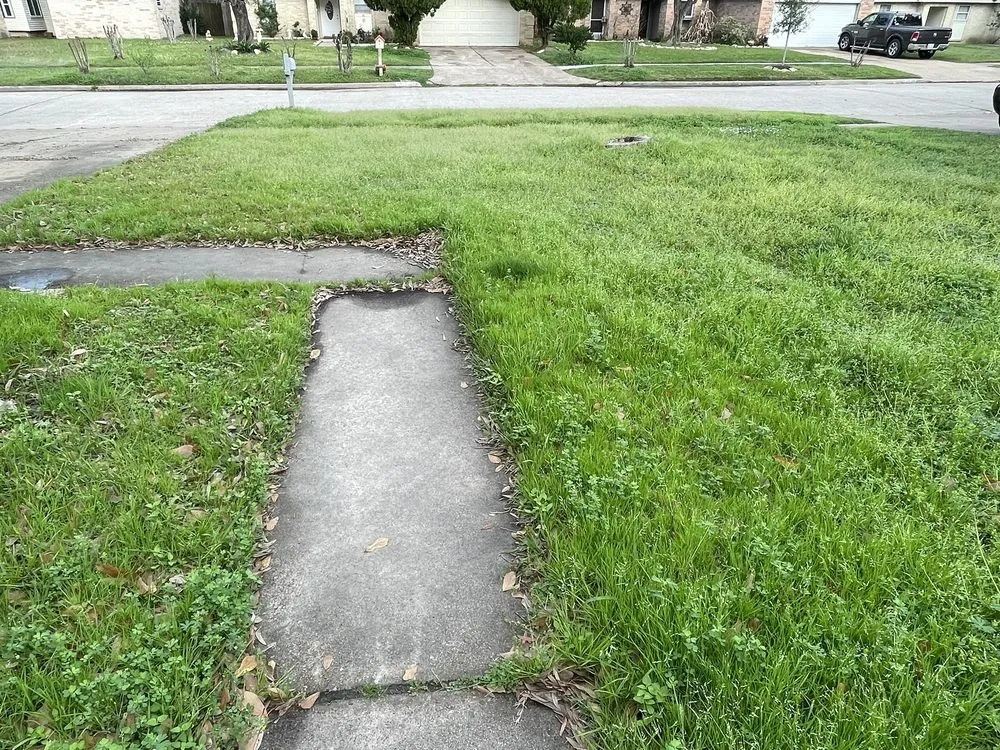 Trusted lawn mowing service experts serving Katy, TX - Nalesnik's Landscaping