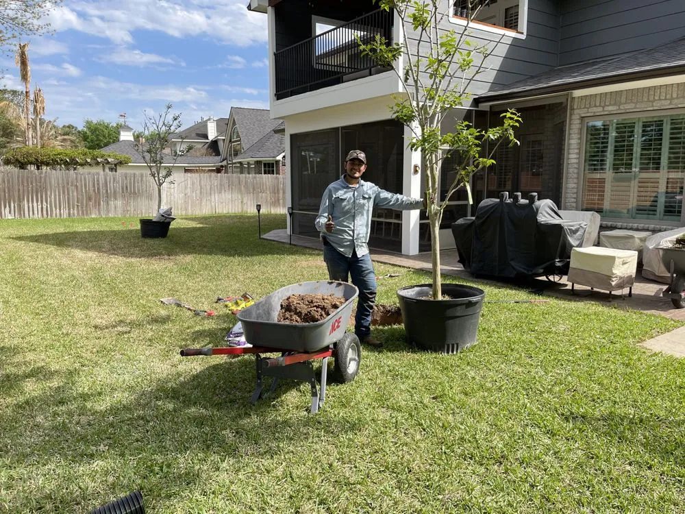 Top-rated yard cleanup service in Katy, TX - Nalesnik's Landscaping