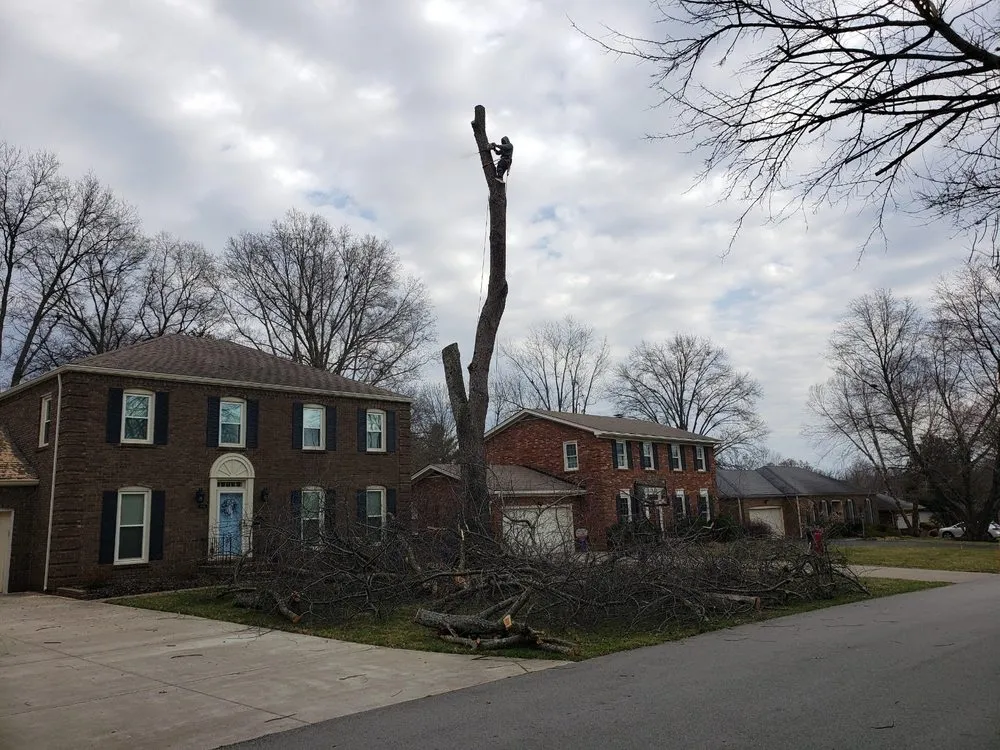 Reliable yard cleanup service in Louisville, KY by Nalley's Lawn Service & Landscaping