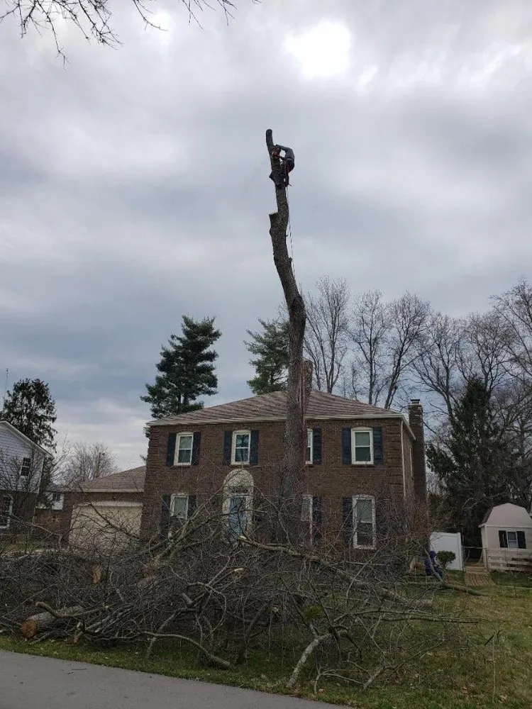 Reliable lawn care service for homes in Louisville, KY by Nalley's Lawn Service & Landscaping