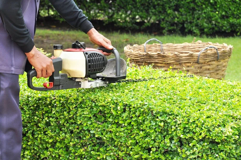 Reliable yard maintenance for homes in Louisville, KY by Nalley's Lawn Service & Landscaping