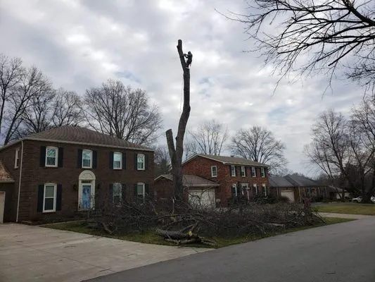 Nalley's Lawn Service & Landscaping Logo
