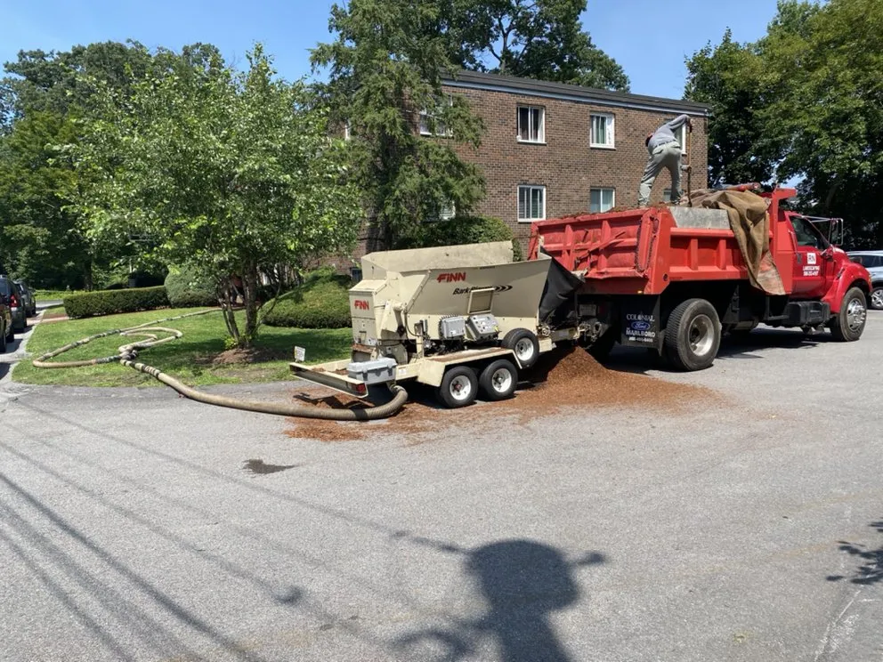 Reliable yard cleanup service near you in Framingham, MA by Nalon & Son Landscaping and Cleaning Services