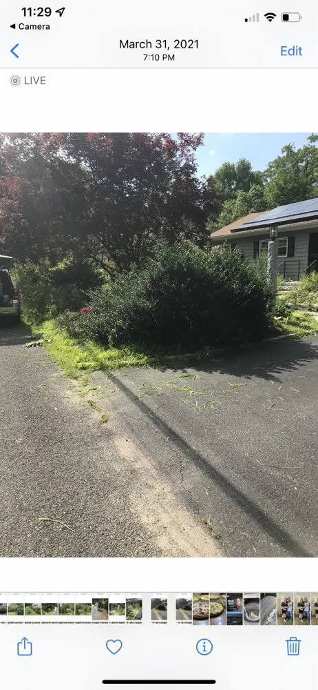 Local yard cleanup service in Framingham, MA - Nalon & Son Landscaping and Cleaning Services