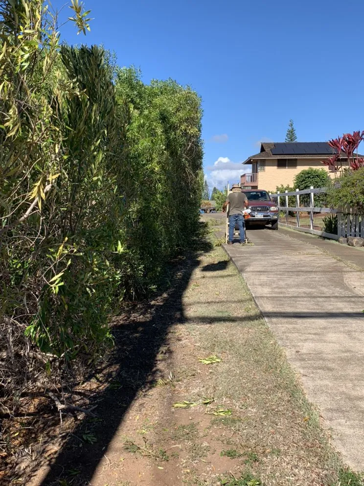 Affordable yard maintenance in Kihei, HI - Nalu’s Landscaping , Housekeeping And Repairs