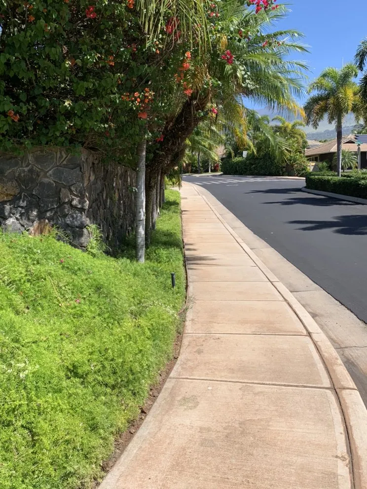 Expert lawn care service experts serving Kihei, HI - Nalu’s Landscaping , Housekeeping And Repairs