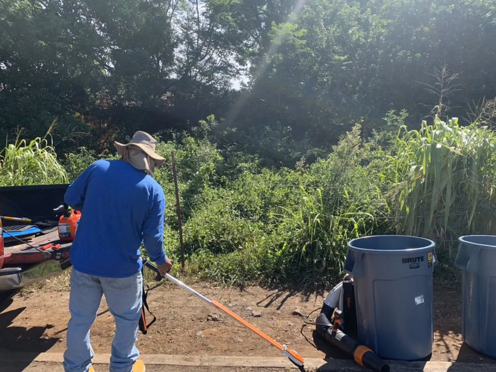 Reliable lawn mowing service in Kihei, HI - Nalu’s Landscaping , Housekeeping And Repairs