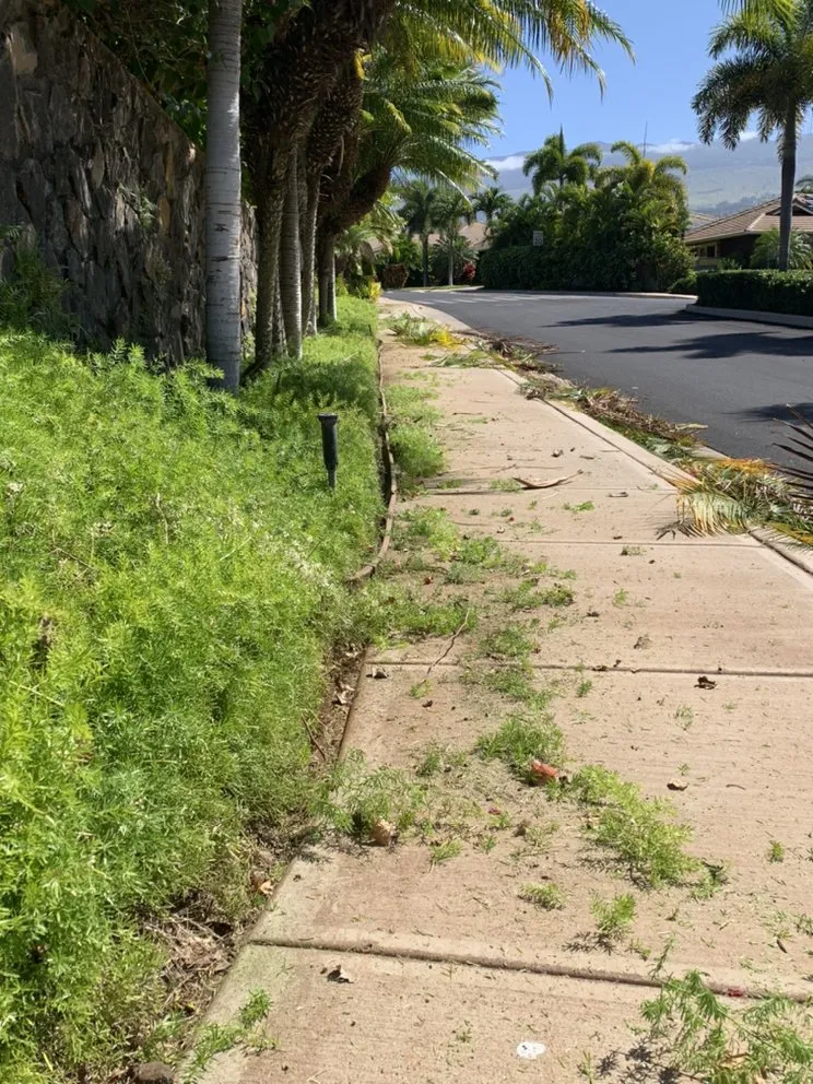 Custom residential landscaping for year-round maintenance in Kihei, HI by Nalu’s Landscaping , Housekeeping And Repairs