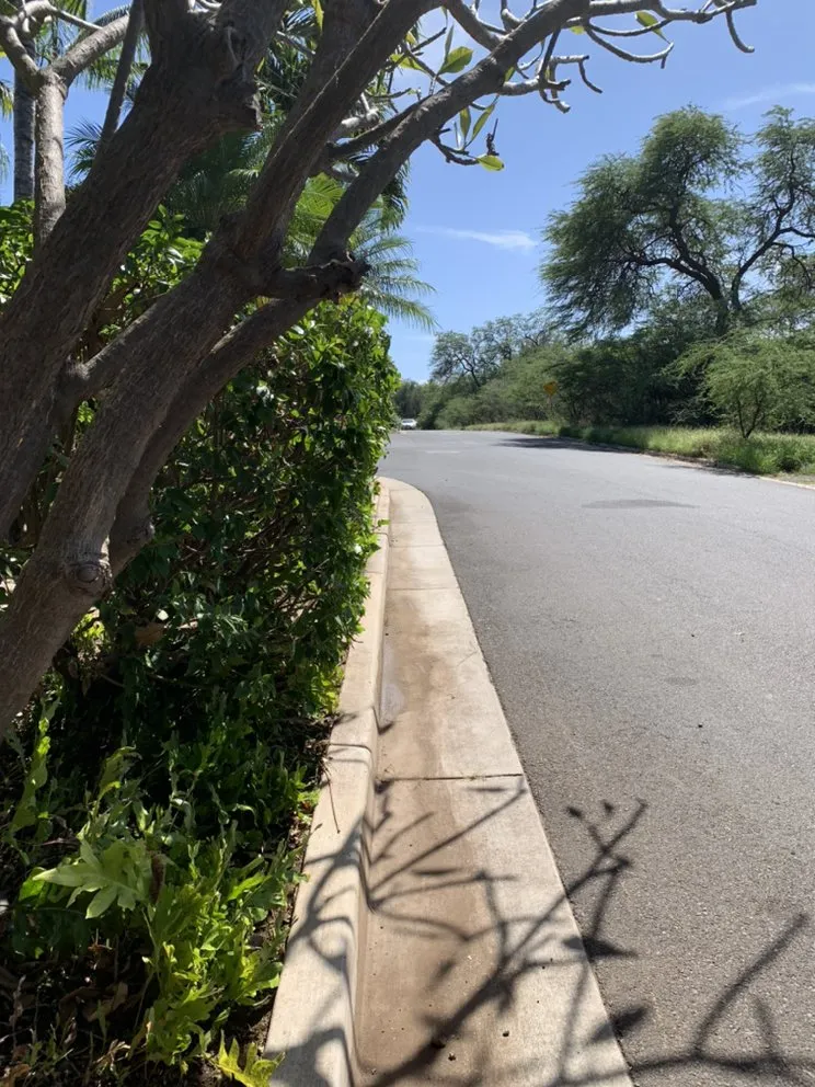 Professional outdoor landscaping in Kihei, HI by Nalu’s Landscaping , Housekeeping And Repairs