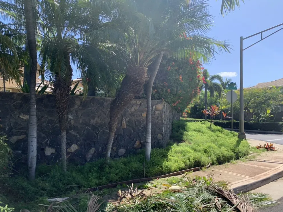 Professional outdoor landscaping for beautiful yards in Kihei, HI by Nalu’s Landscaping , Housekeeping And Repairs