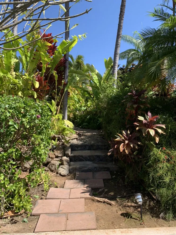 Affordable yard cleanup service in Kihei, HI - Nalu’s Landscaping , Housekeeping And Repairs