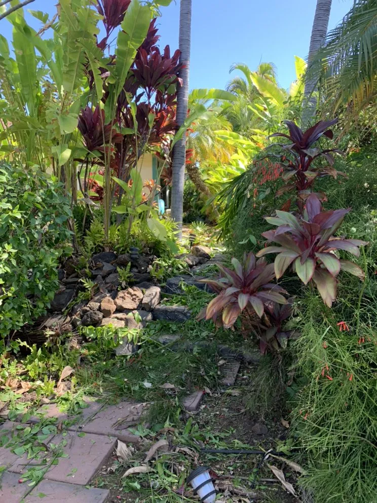 Custom outdoor landscaping for residential properties in Kihei, HI by Nalu’s Landscaping , Housekeeping And Repairs