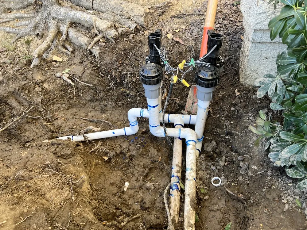 Reliable yard cleanup service for beautiful yards across Ontario, CA - Nambo Lawn Care