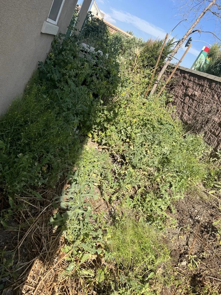 Local landscape installation for year-round maintenance in Ontario, CA by Nambo Lawn Care