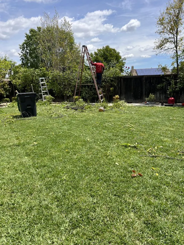 Professional landscape design with custom design in Ontario, CA by Nambo Lawn Care