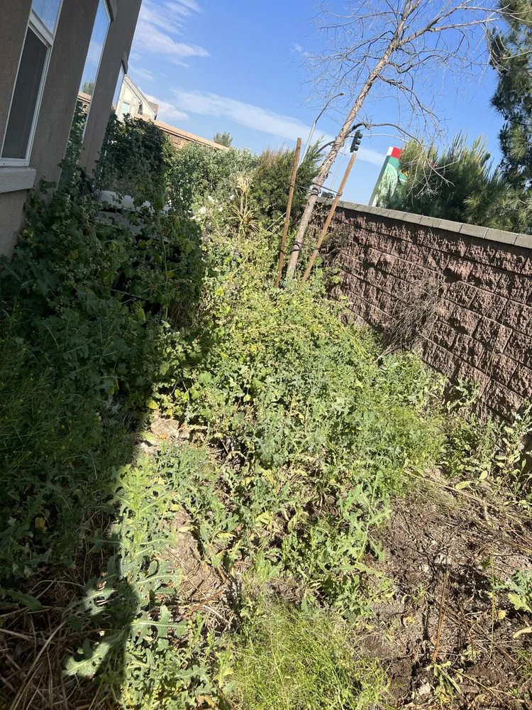 Trusted garden landscaping for beautiful yards across Ontario, CA - Nambo Lawn Care