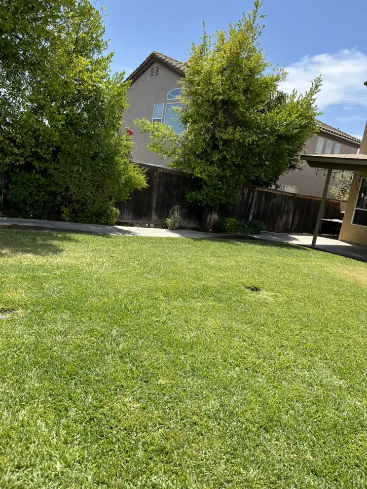 Custom landscaping services for year-round maintenance in Ontario, CA by Nambo Lawn Care