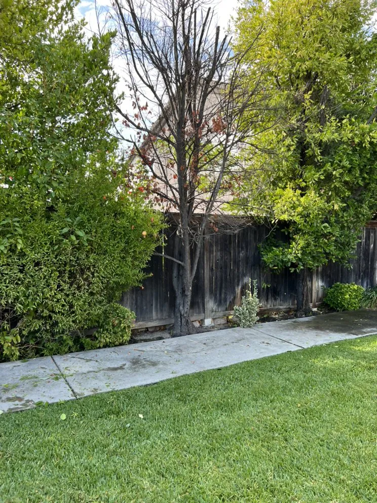 Professional residential landscaping in Ontario, CA by Nambo Lawn Care