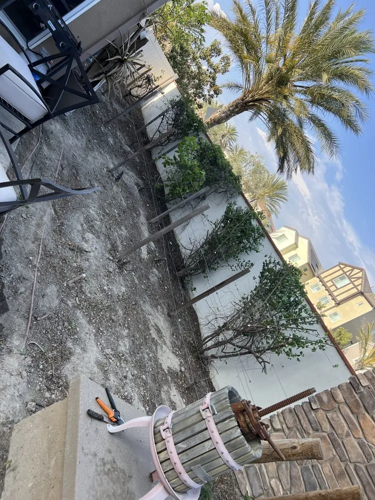 Custom outdoor landscaping in Ontario, CA by Nambo Lawn Care