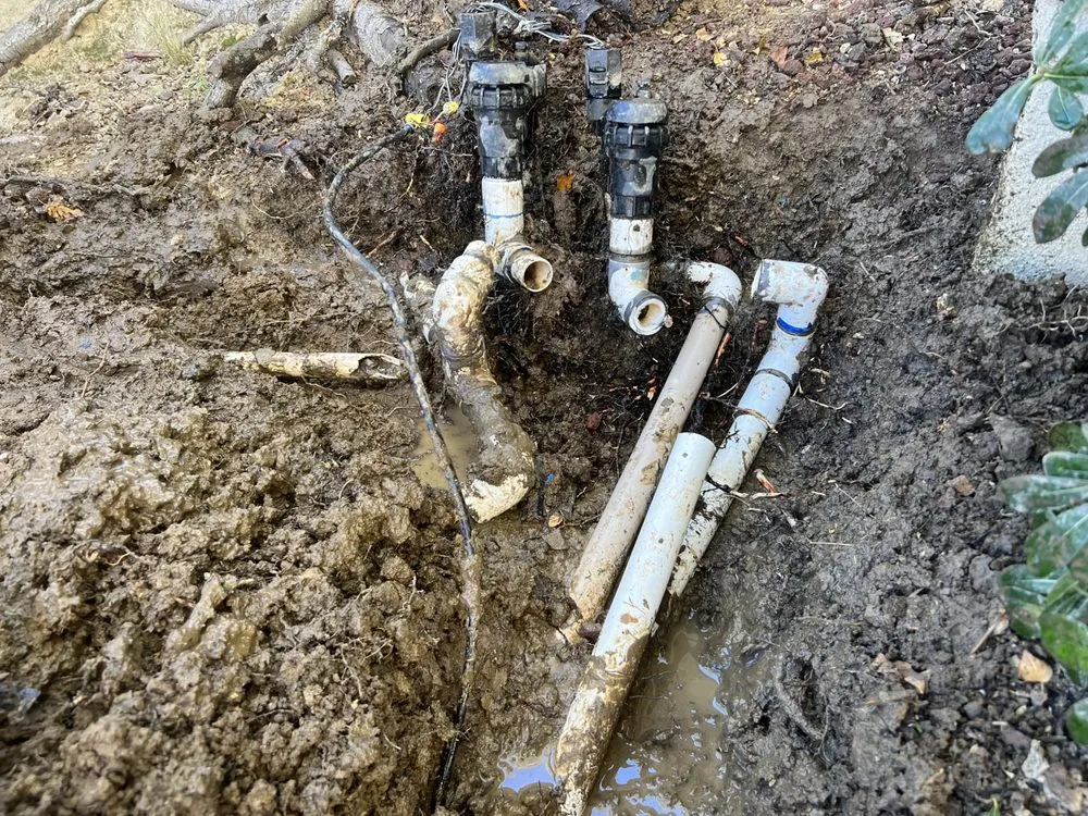 Professional lawn care service experts serving Ontario, CA - Nambo Lawn Care