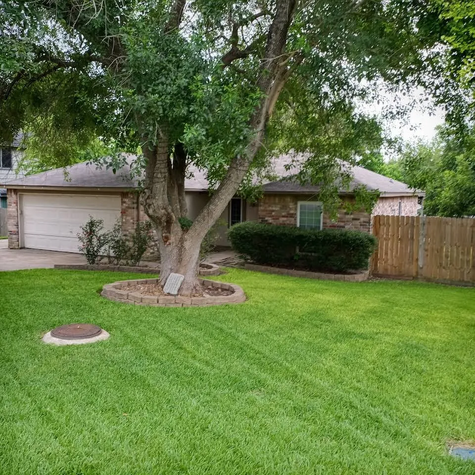 Local outdoor landscaping for beautiful yards across Willis, TX - Name Your Price Affordable Lawn Care