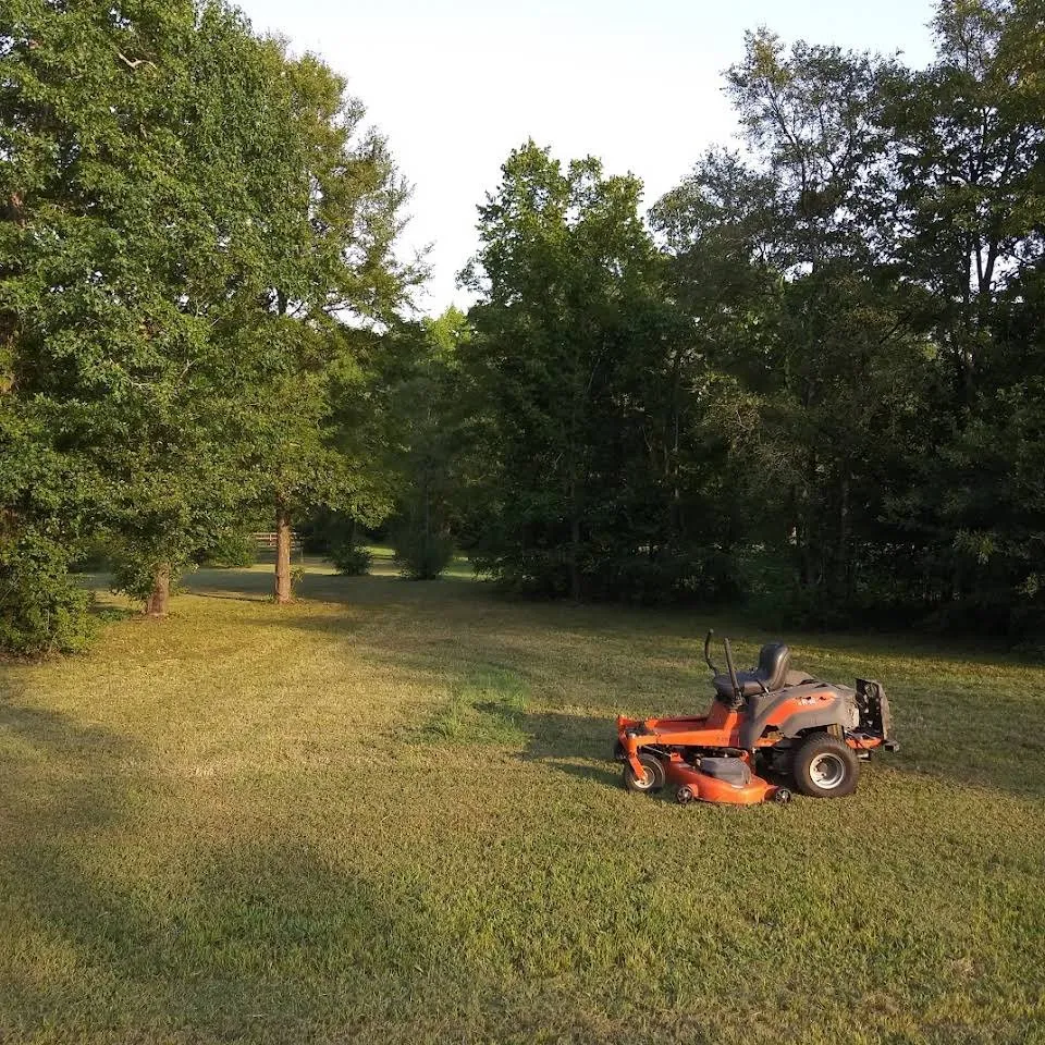 Top-rated lawn care service for homes in Willis, TX by Name Your Price Affordable Lawn Care