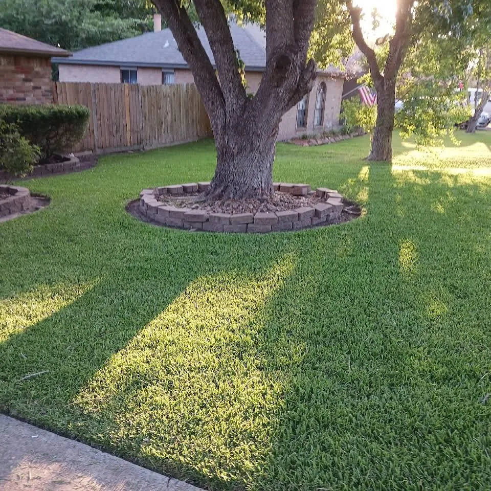 Professional landscape installation in Willis, TX by Name Your Price Affordable Lawn Care